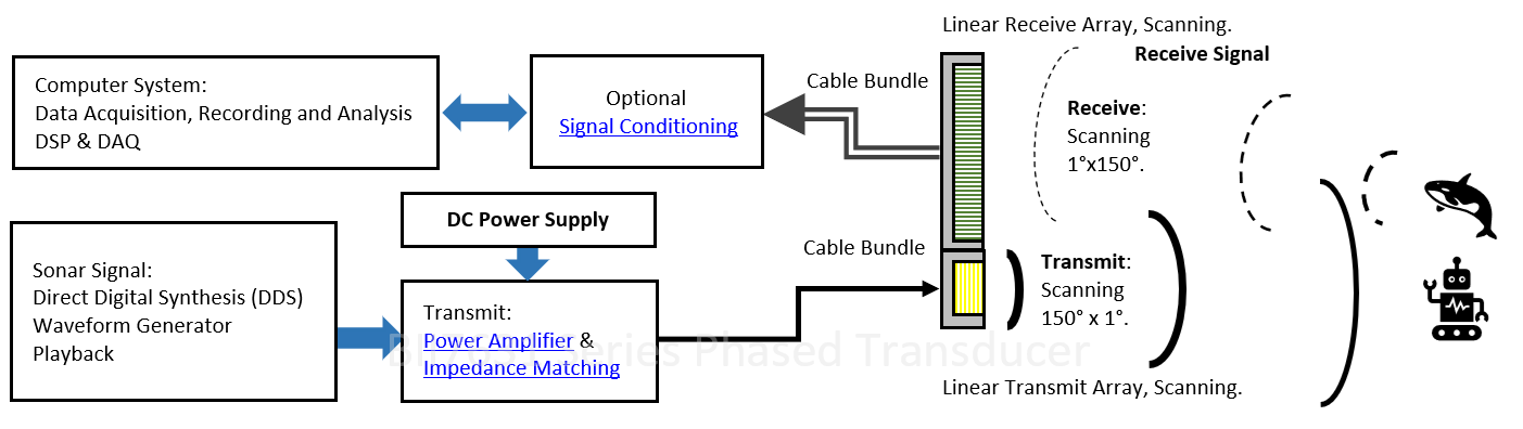 Phased Array Transducer